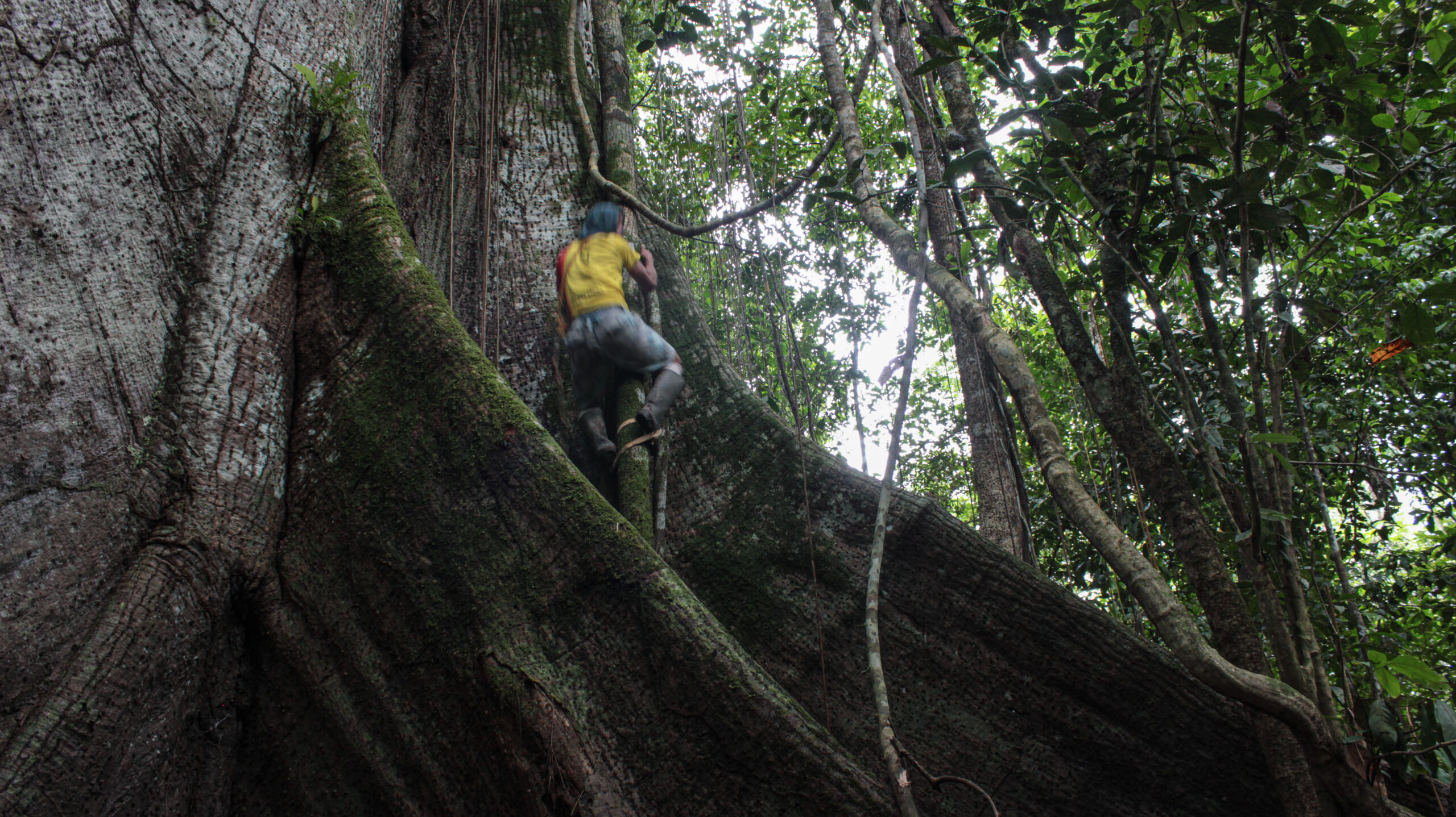 204027_amazonas-0017