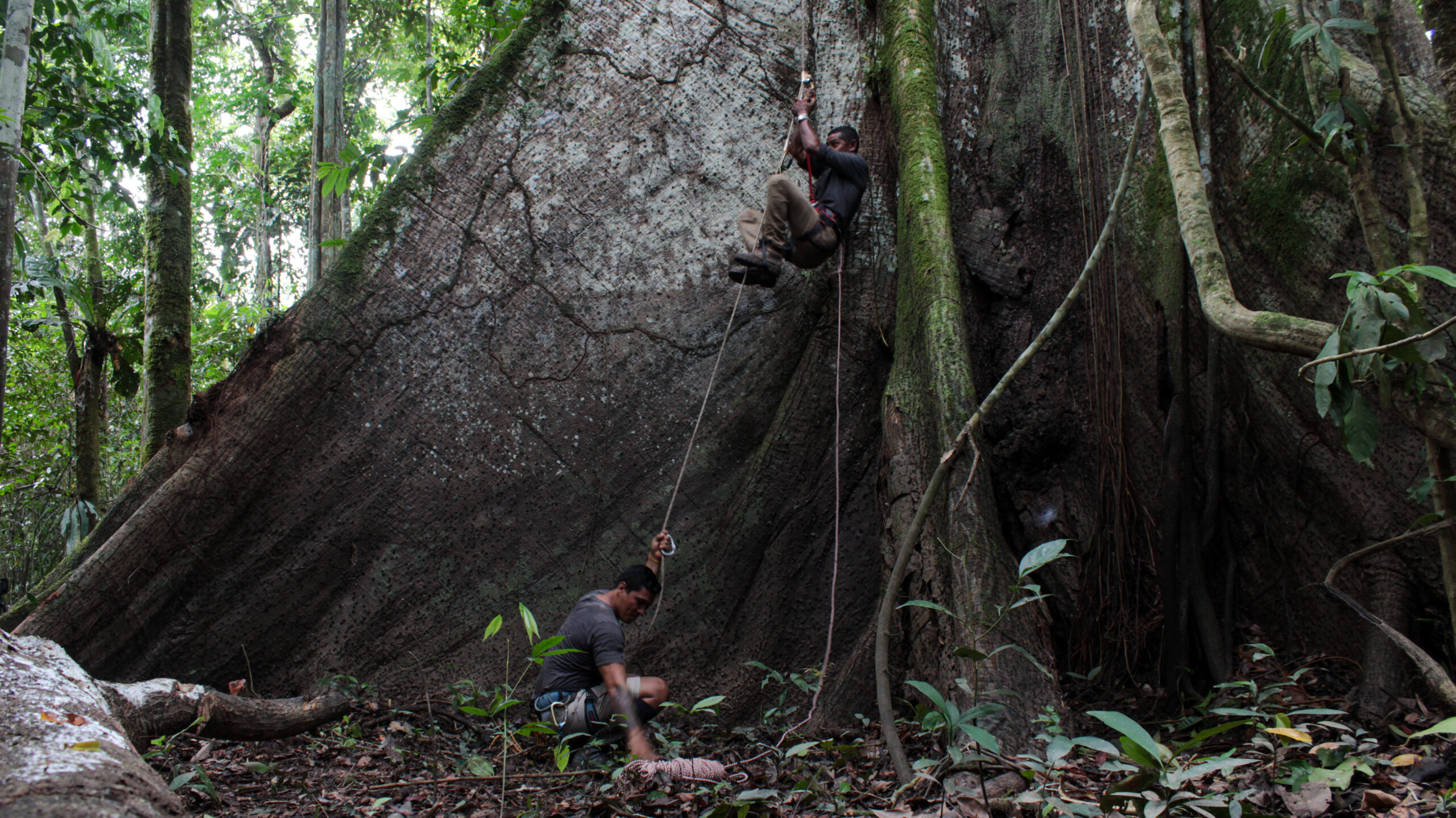 204027_amazonas-0053