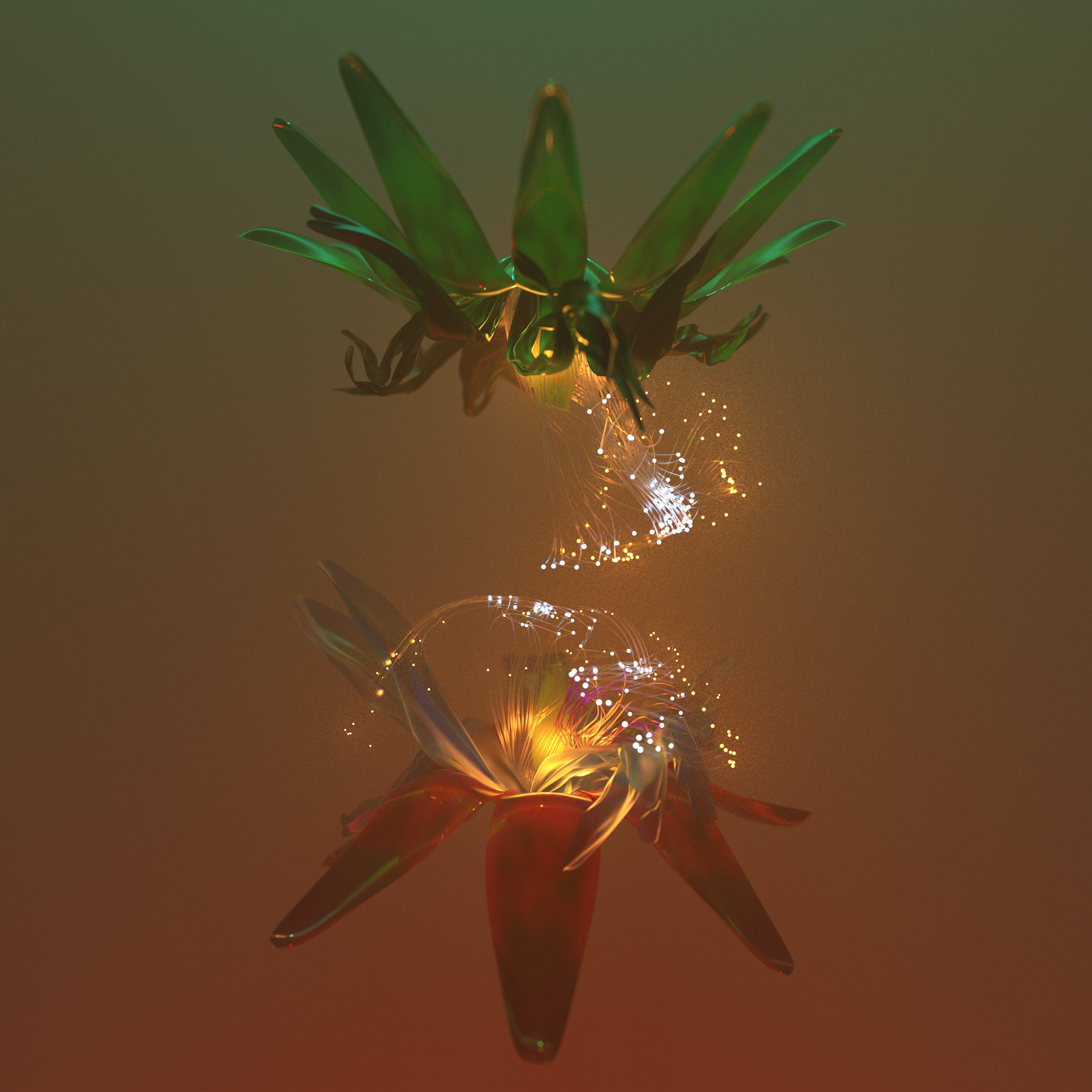 blossom__cupofchris_01