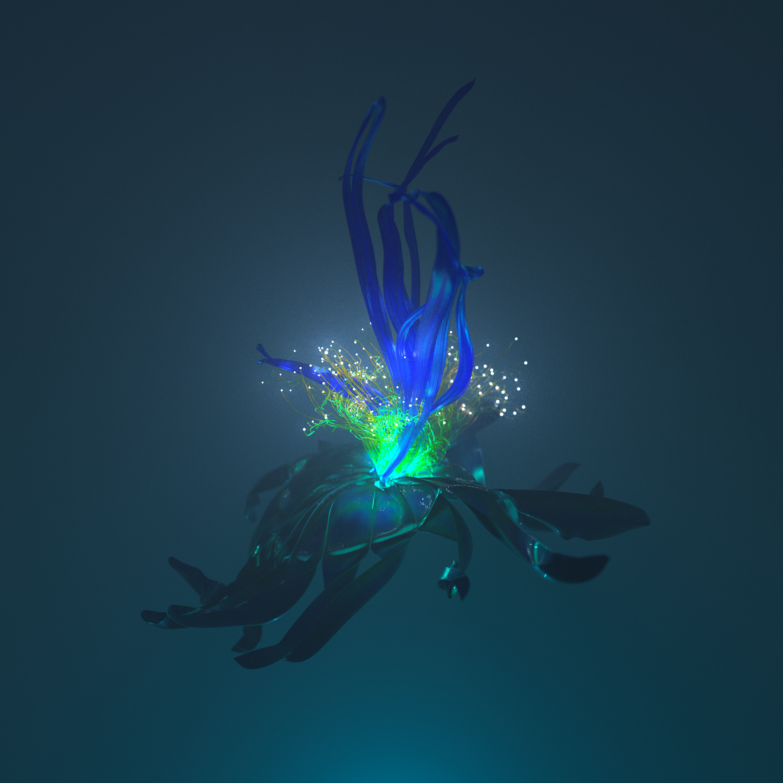 blossom_juliamargaret_01