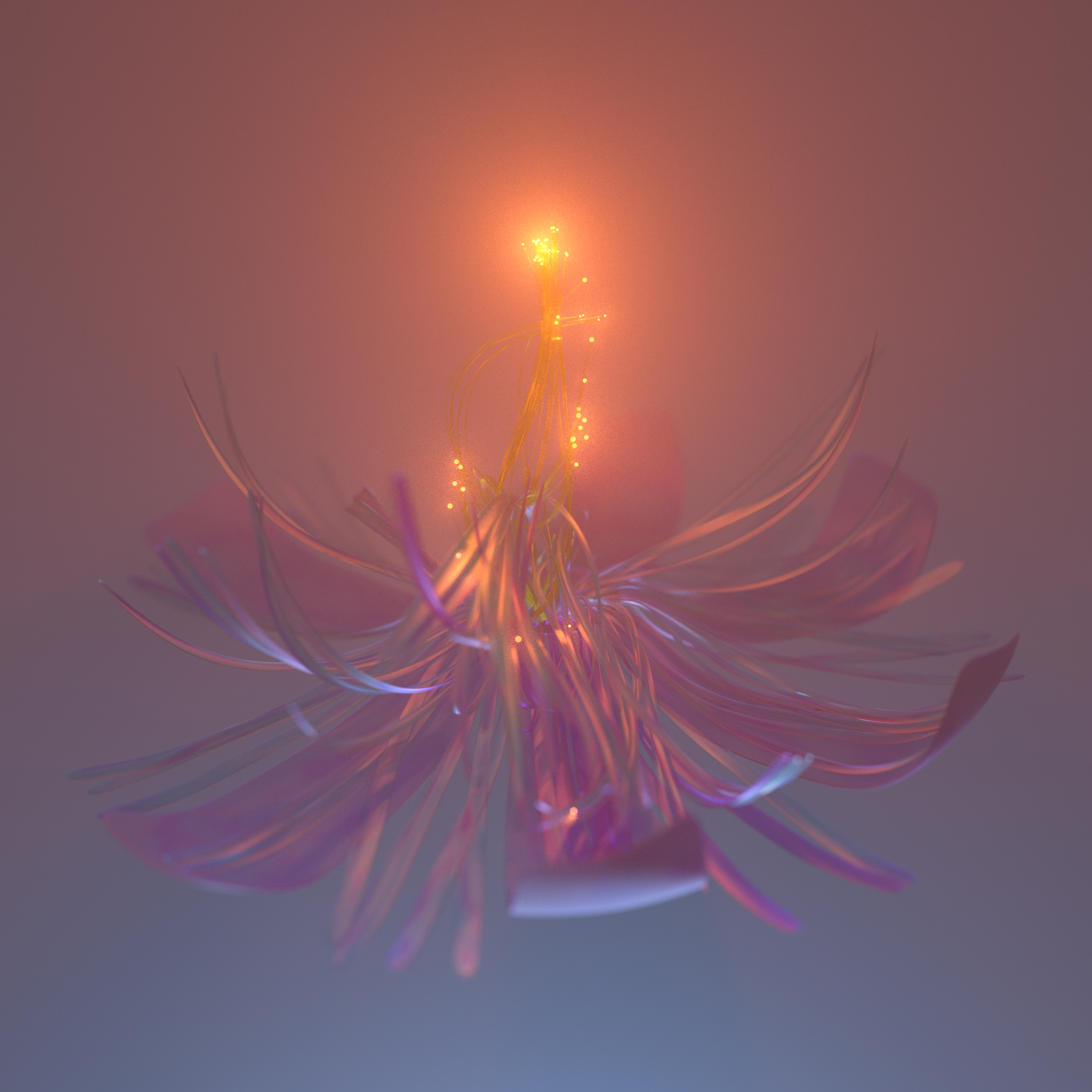 blossom_only1made4me_01