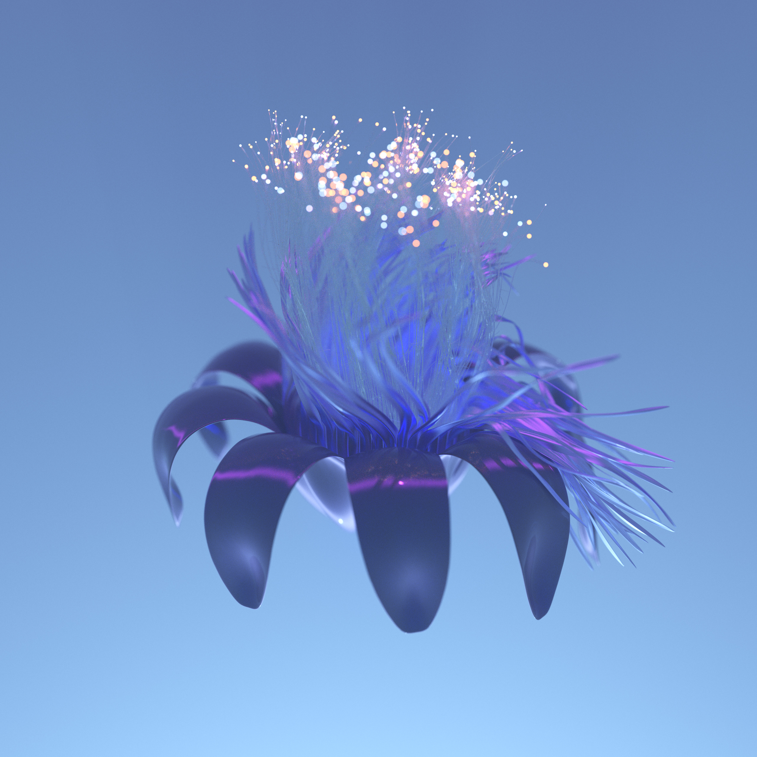 blossom_orbcollective_01