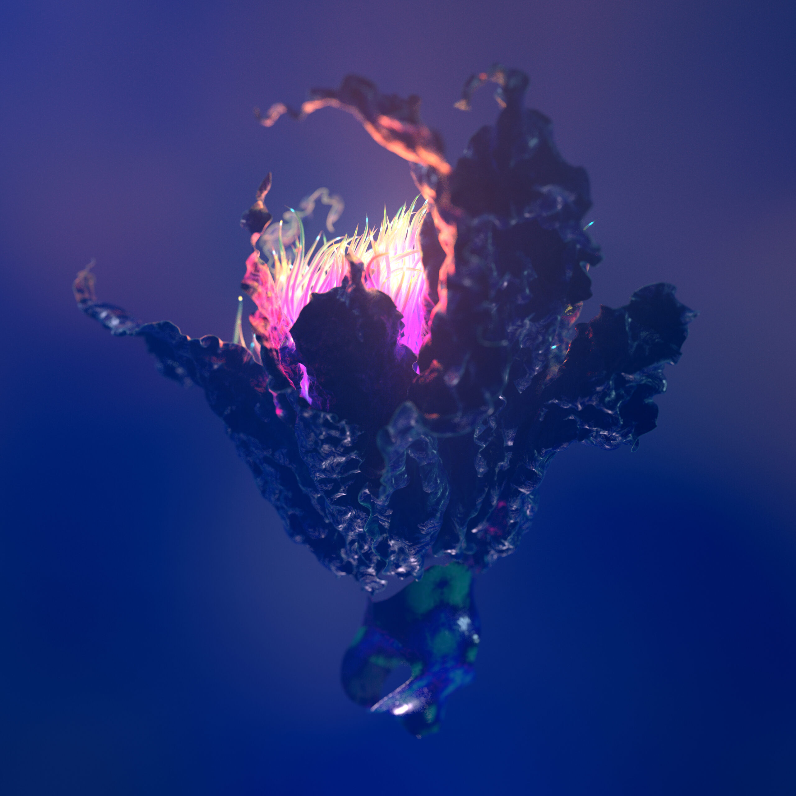 flowers_zi0_CAM02_100