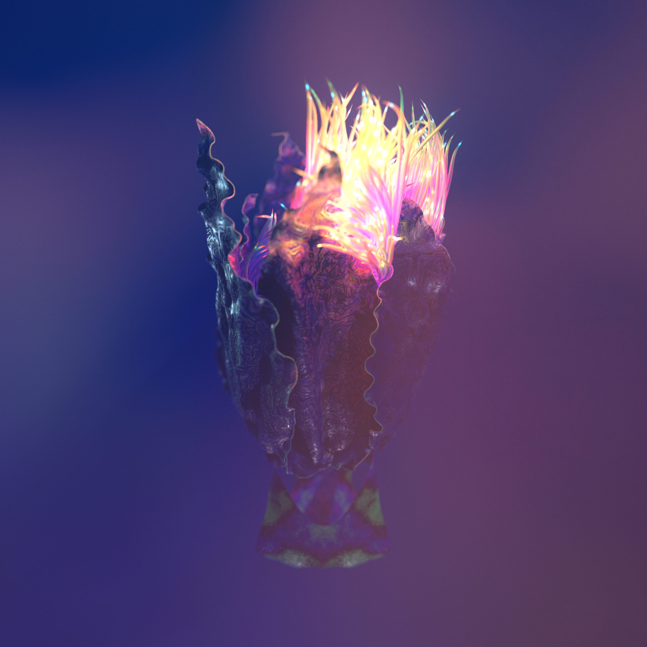 flowers_zi0_CAM11_001