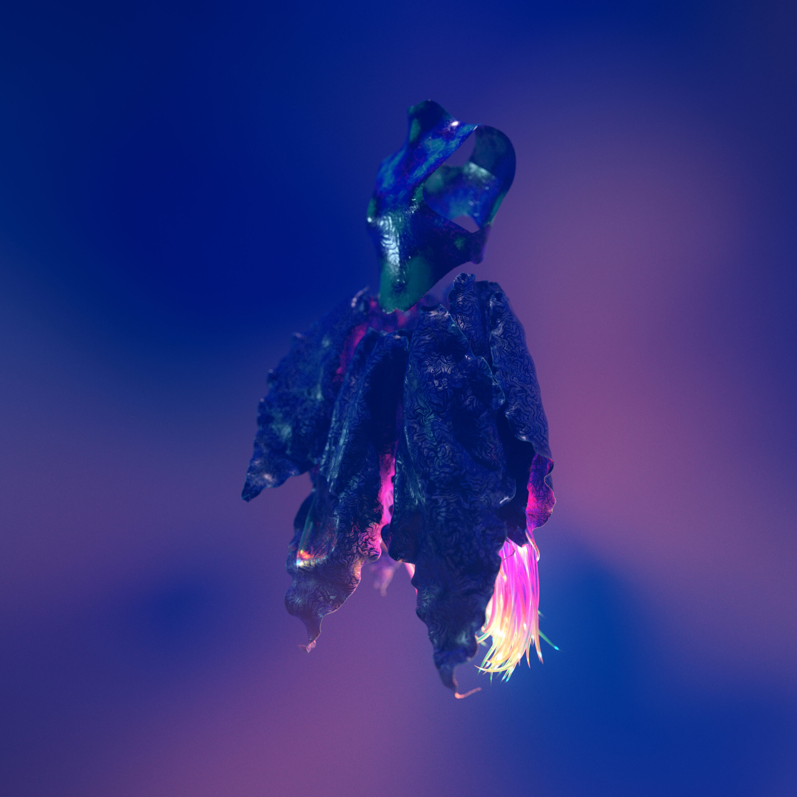 flowers_zi0_CAM15_001