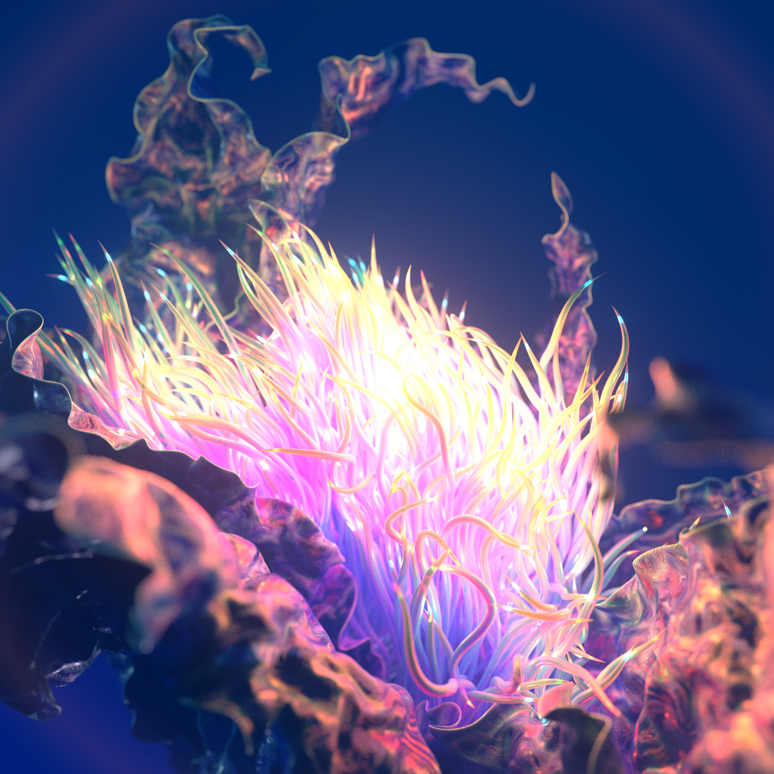 flowers_zi0_CAM17_100