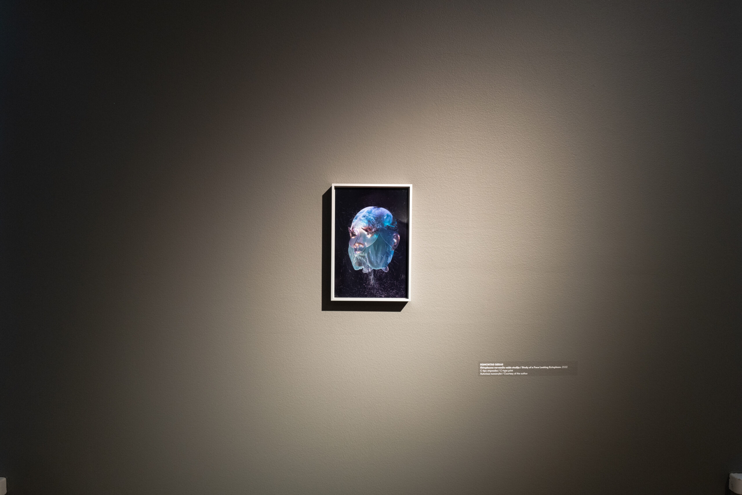 L1002581_small